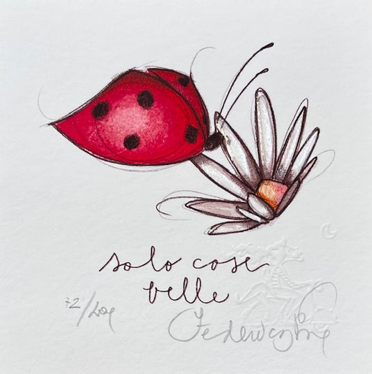 SOLO COSE BELLE